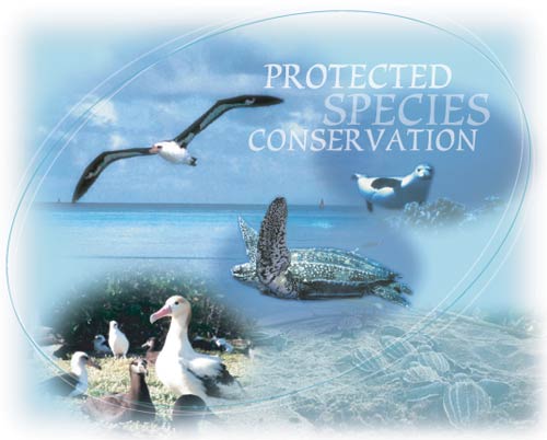 Protected Species Overview