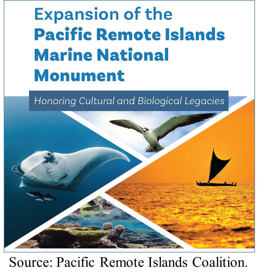 GPT Pacific Fair - The Reef and The Wave - Digital Place Solutions